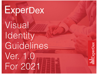 Logo design Visual Identity Brand Guide Book for ExperDex brand guide book brand guideline branding logo design visual guide book