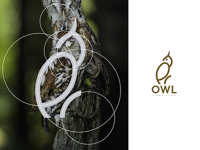 Owl Logo Line branding design graphic design icon illustration logo logo design logotype ui vector