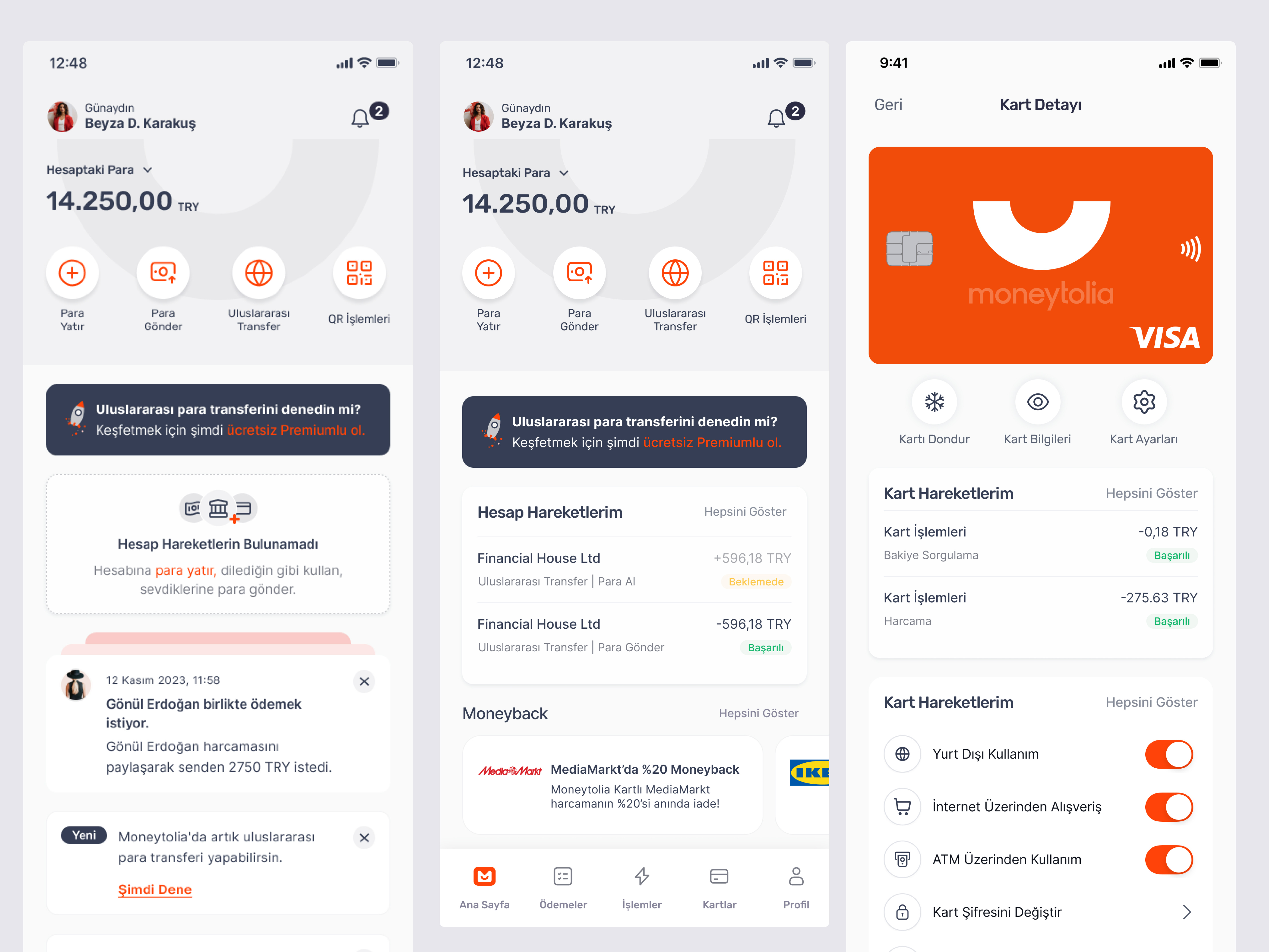 Example of Moneytolia Fintech App Dashboard