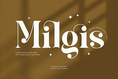 Milgis Elegant Serif Font design designer font fonts graphic graphic design graphics milgis elegant serif font typeface typography