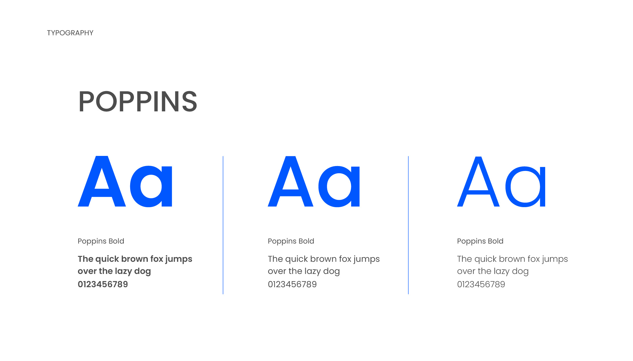 Example of Minimal Brand Identity Guidelines Design
