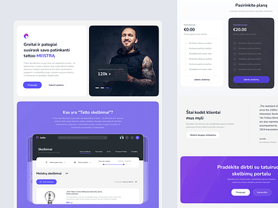 Tatto ads - landing page ads clean design landing landing page page tatto ui ui design web web design website