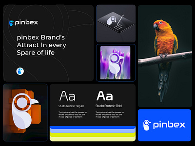 Pinbex for birds abstract Logo and Branding abstract logo ai birds brand guidelines brand identity icon identity illustration logo logo design mark marketing p letter technology ui visual