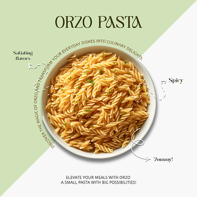 Orzo Pasta ad Banner food banner food creatives food posters food social media ad banner orzo pasta pasta ad banner