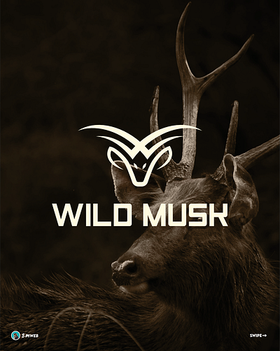 Wild Musk brand identity logo mascot logo nature logo visual identity wild logo