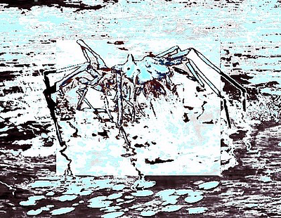 LOOM in Mog, Elriel Atrophic Dimensions 2133 branding collage concept cryptid design fringe graphic design horror illustration noise photo manipulation ui underground