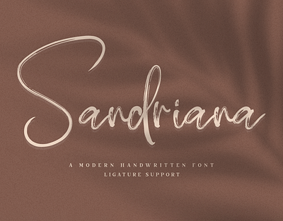 Sandriana Brush Font branding brush brush font font handwritten logotype script typeface
