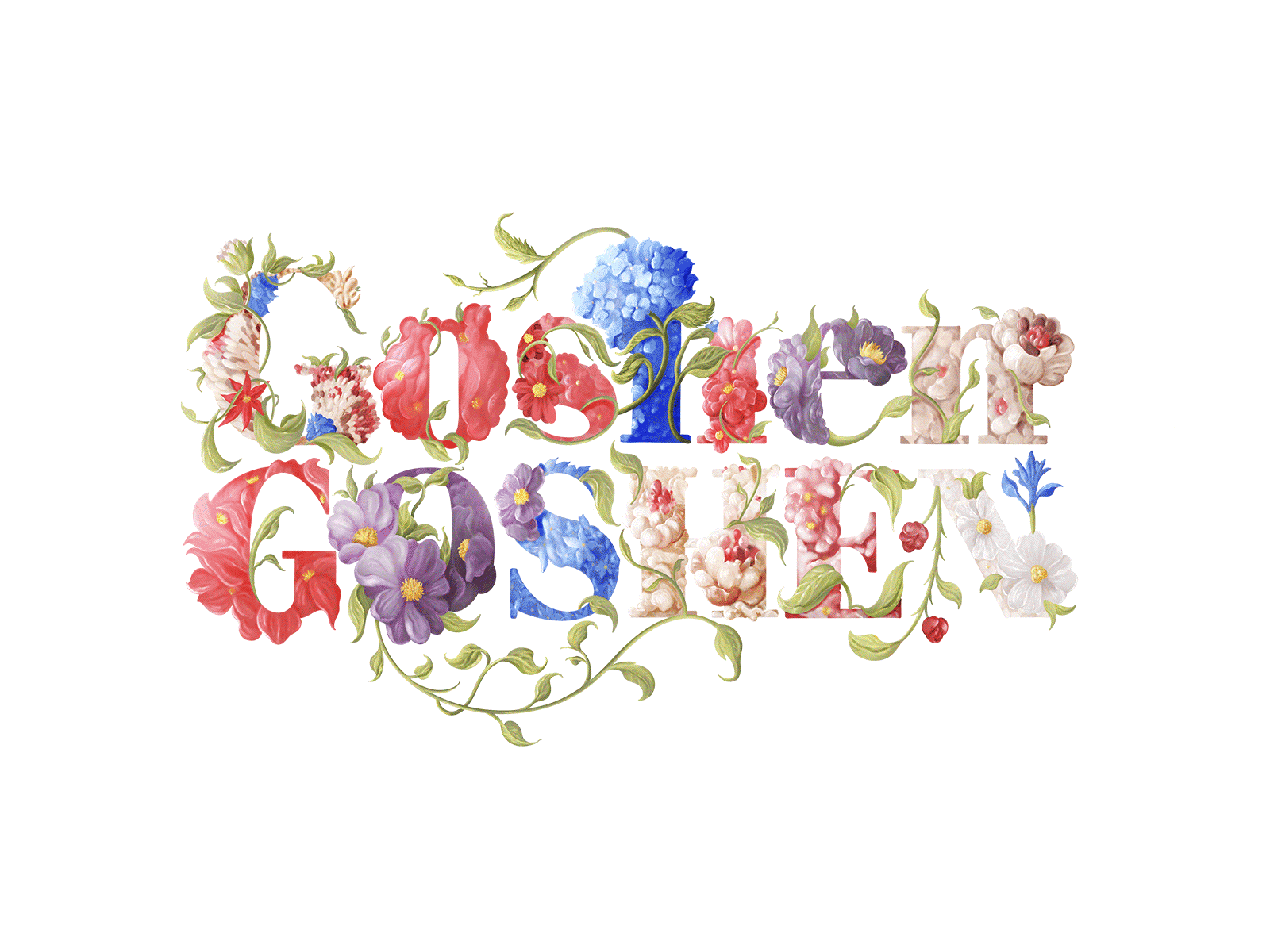 Goshen GOSHEN animation illustration lettering sketch typography