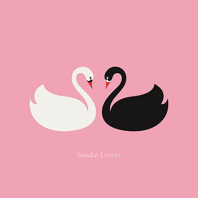 Sunday Lovers blackswan illustration swan vector vectorillustration