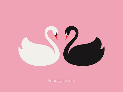 Sunday Lovers blackswan illustration swan vector vectorillustration