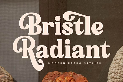 Bristle Radiant Modern Retro Stylish design designer font fonts typeface typography