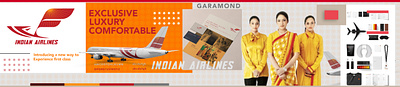 Air India Express Flight branding graphic design logo ui