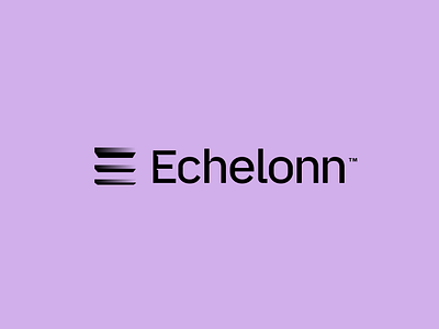 Echelonn | Brand 3d brand branding identity logo people typography web