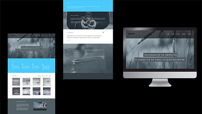 Blueasy Photographer's Profile photographer photography responsive web design