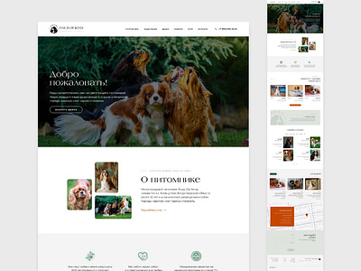 Dog Kennel Website ui uxui web web design