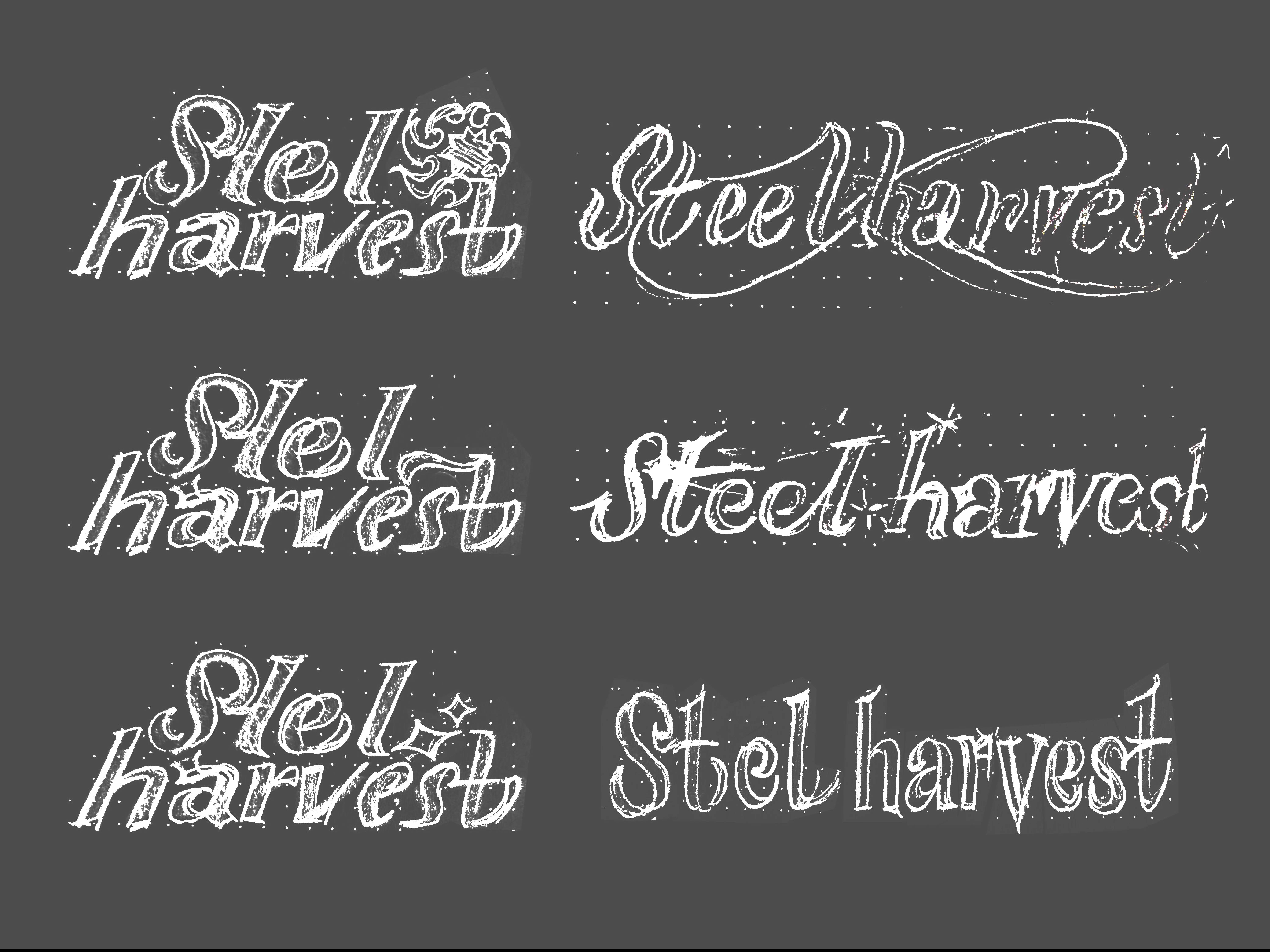 Example of Custom Lettering Logo