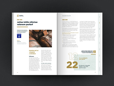 Beer Manufacture A4 Publication Layout (1/2) a4 design graphic design layout print publication
