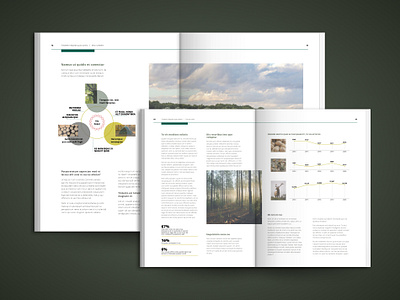 Forest A4 Publication Layout (3/3) a4 chart design graphic design layout print publication