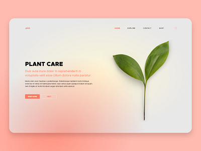 Plant Care (Concept) design graphic design ui web