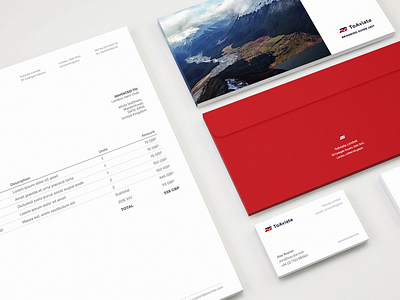 Branding for Aircraft Booking System bc brandbook branding guide branding guidelines business card design logo logotype toaviate