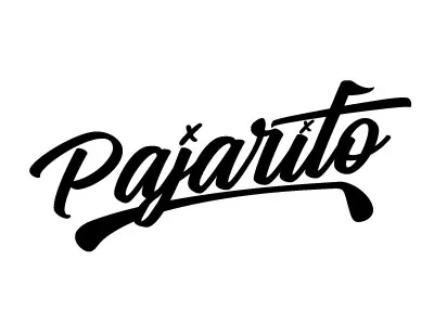 Golf birdies logo birdies calligraphy cursive golf bar golf logo hand lettering logo logotype script logo signature text logo