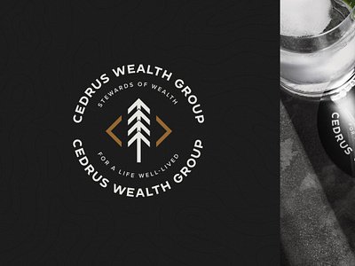 Cedrus Wealth Group Brand Design arrow brand identity brandmark cedar tree finance company financial growth nature outdoors redwood forest tree wealth