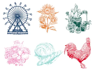 Kentucky State Fair Illustrations drawing food illustration ink kentucky plants still life