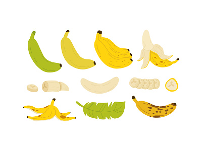 Banana ripeness stages banana cartoon concept design flat food fruit illustration ripeness vector