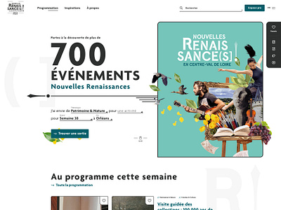 Web Design for Nouvelles Renaissances ui web design