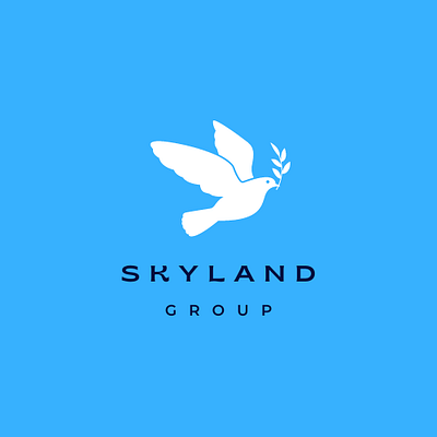 Other skyland logo branding graphic design logo