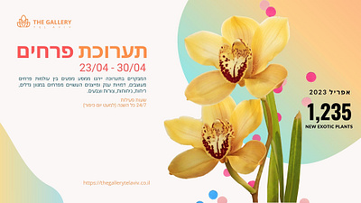 Flowers Exhibition Banner Design