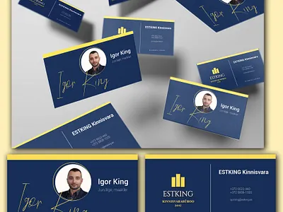 Business Card branding business card design graphic design