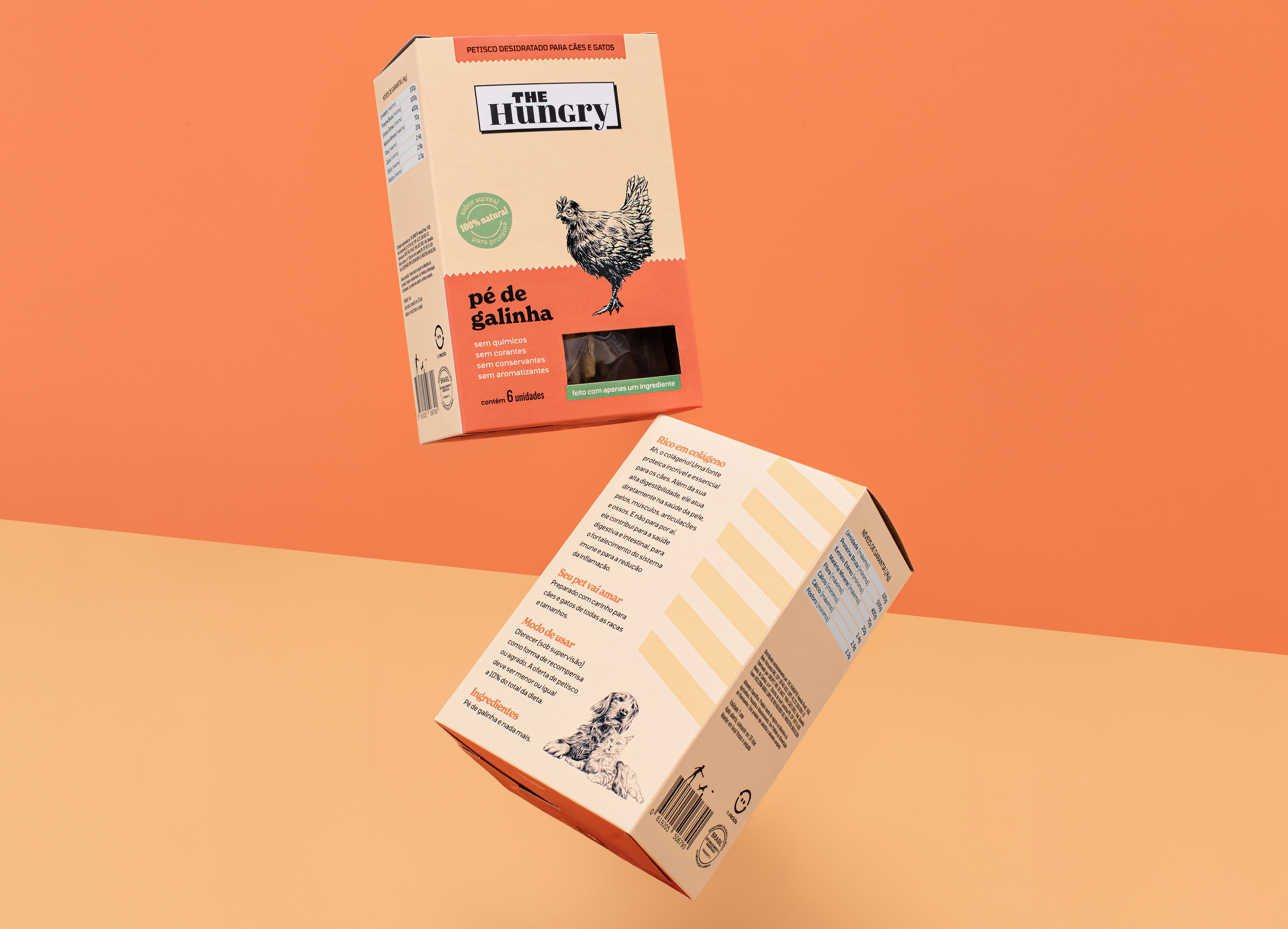 Example of Packaging  Design