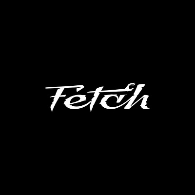 fetch abstract design fetch lettering logotype wordmark