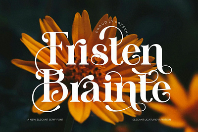 Fristen Brainte Elegant Serif Font design designer font fonts typeface typography