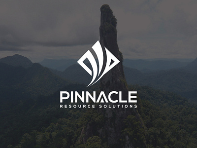 Pinnacle Logo & Brand Identity Design! branding graphic design logo motion graphics pinnacle logo design