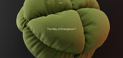 The Way of Emergence Concept animation branding graphic design motion graphics ui