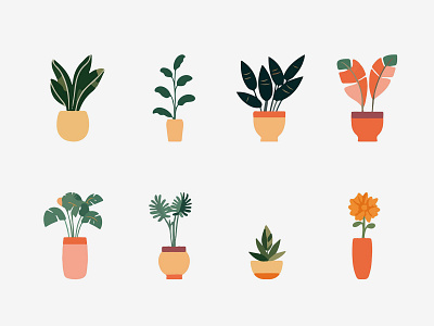 Vector Indoor Plants Illustration Collection vectors