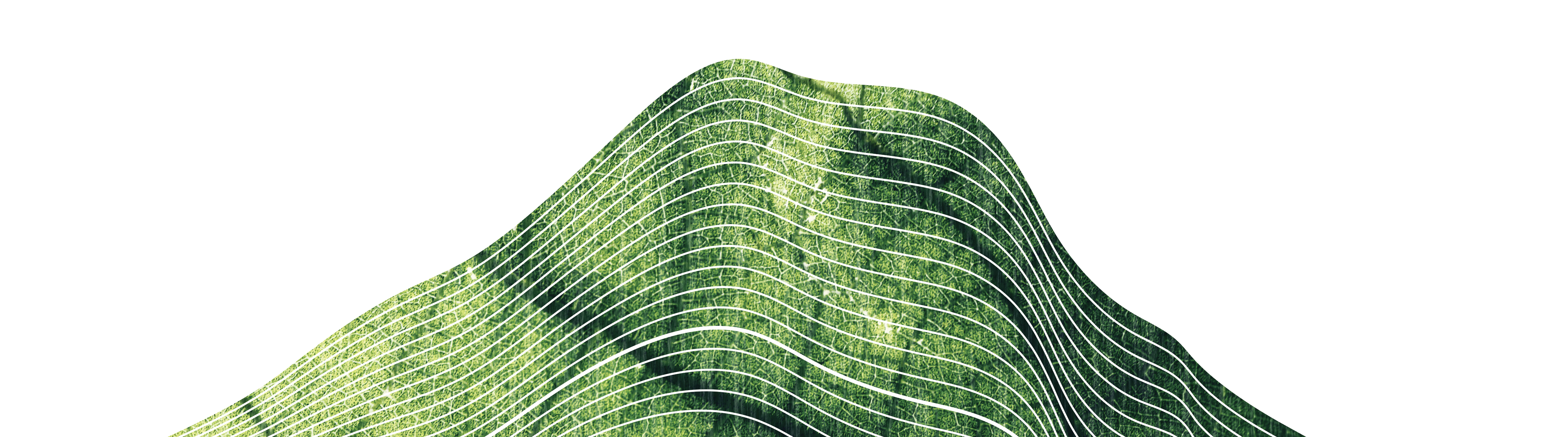 BioHacking Core Main Supplements Packaging Label Line Design brand branding design graphic design illustration labels layout ognen trpeski packaging product design supplements trpeski design trpeskidesign vitamins