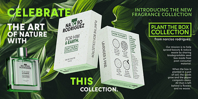 Sustainable Packaging & Branding Idea branding design graphic design logo vector vector art