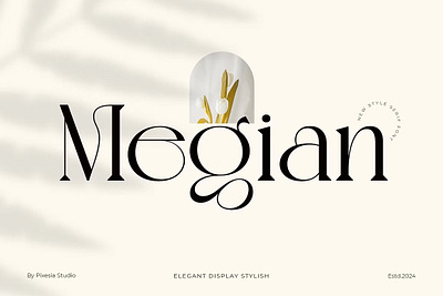 Megian - Modern Elegant Serif Font design designer font fonts typeface typography