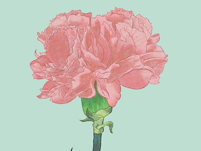 [Wallpaper] Happy Mother’s Day 2dillustration design flatillustration flowers graphic design procreate wallpaper