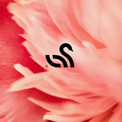 Swan Monoline Logo Design logo logo designer minimalist monoline simple swan