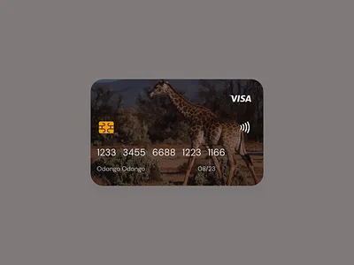 Credit Card design graphic design ui