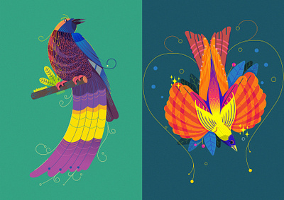 Birds Paradise branding design fireart fireart fireart studio graphic design illustration logo ui ux vector