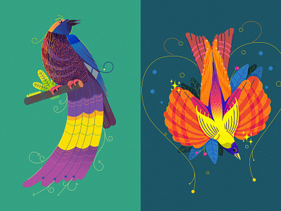 Birds Paradise branding design fireart fireart fireart studio graphic design illustration logo ui ux vector