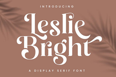 Leslie Bright - Display Serif Font design designer font fonts typeface typography