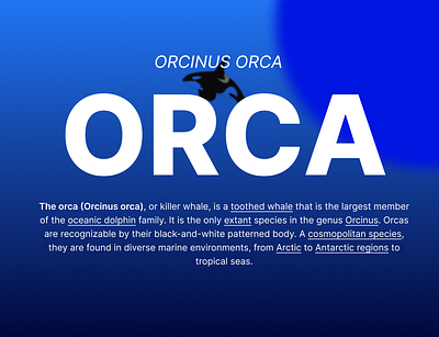 Orcinus "𝙊𝙍𝘾𝘼" 3d 3ddora animation dorawebsite figma figmawithdora illustration orca orcinusorca simple