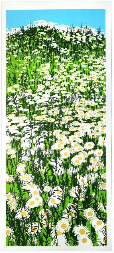 Daisy Field limited edition print daisy field flower limitededition print screenprint