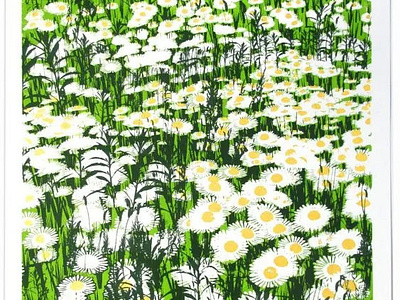 Daisy Field limited edition print daisy field flower limitededition print screenprint